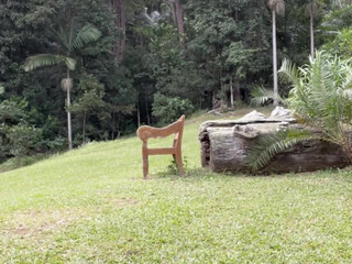 Mikaela Testa onlyfans Sex HD