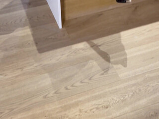 Montanaminx onlyfans 2024_