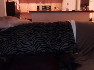 technosexx1  Premium webcam show