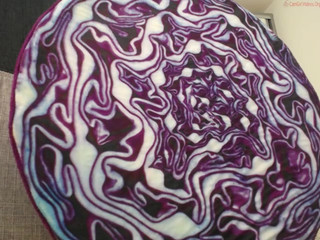 serendypity  show 28th of February