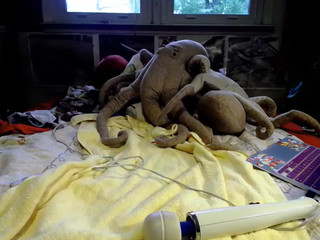 doxie  masturbate, orgasm, scream show