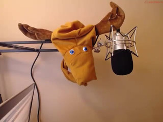 thedirtyrussian  10 November 2018