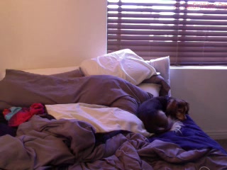 flirtygirl6  parking glass toy inside her pussy