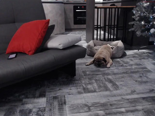 wowimma Wonderful bitch masturbates in the car