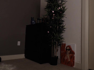 DaphneJo adores in two holes