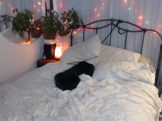 audrey fucking in front of webcam