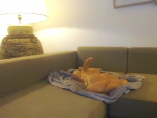 Sexysweetbaby Flirtatious passion masturbates both holes