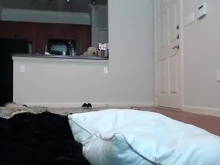 Bonniebruise Luxurious slut recklessly pulls pussy