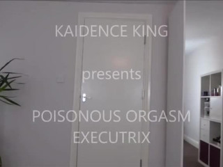 Kaidence_King Luxurious bitch caresses tits and sucks dick