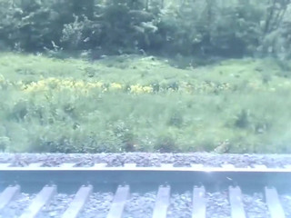 Alexis_Kline pushes the whole toy