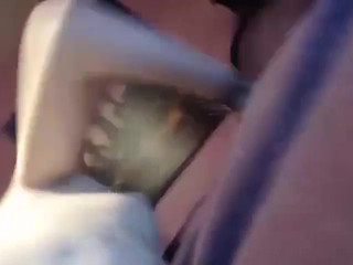 Kitten Sophie Playful babe caresses tits