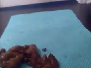 Joy Angeles webcam 5.02.2019