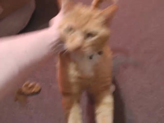 Forest_Nymph sweet orgasm