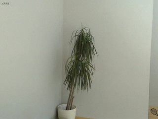 sexywetcoachx_ on air 24.03.2019