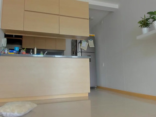 Caroorttiz ticket show 13.02.2019