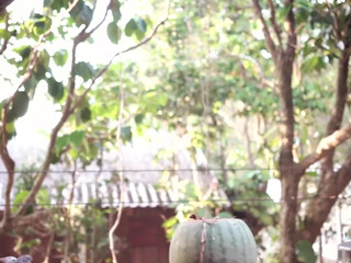 Leolulu scene 6.06.2019