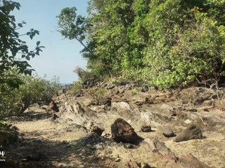 Leolulu pretty lady gently masturbates cunt