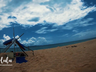 Leolulu telecast 3.06.2019