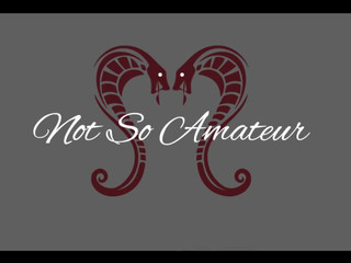 NotSoAmateur webcam 24.07.2019