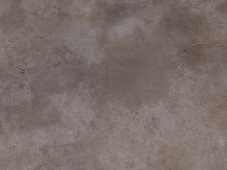 mandy flores cheeky youngster