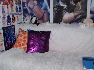 korpsekitten video 27.07.2019