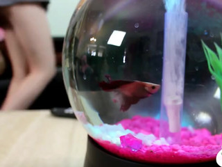 Leda Elizabeth amazing shows pussy