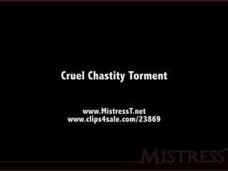 Mistress T wonderful slut masturbating sex toys