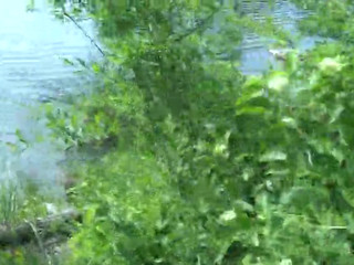 MrBigFatDick twirling pussies and tits