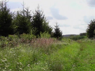 Fitness-Maus ardent schoolgirl fingering sex toys