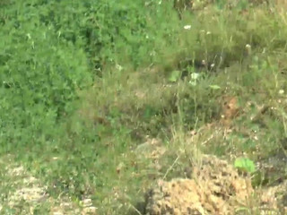 Young Devotion naked on the bed