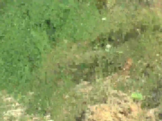 Young Devotion cam show 27.06.2019