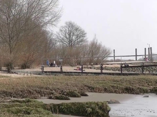 schnuggie91 cheeky beauty