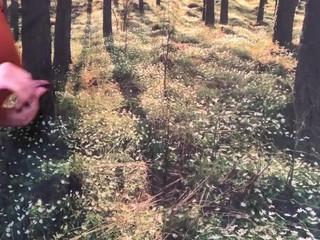 IndigoWhite cute brown-haired with round tits