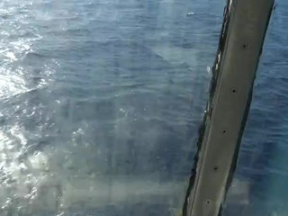 VicAlouqua screening 5.07.2019