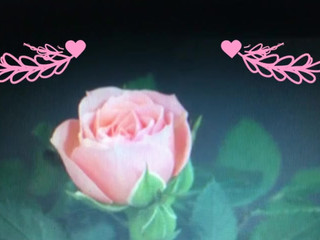 Effy Elizabeth great sucking rubber dick