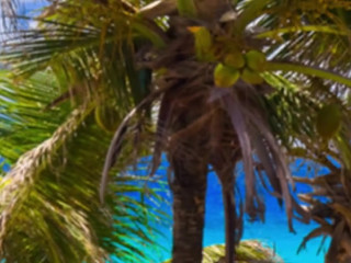 HeidiWow luxurious confused excites lush forms