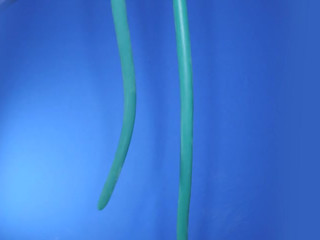 MiaRand slutty babe bares big tits