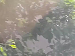 Misssweetteen ticket show 26.07.2019