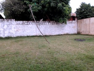 Misssweetteen spicy trash fucks herself with a dildo