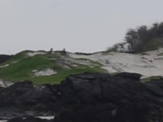 Haley420 fucks herself hard