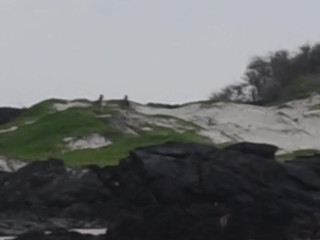 Haley420 tender lady posing in stockings