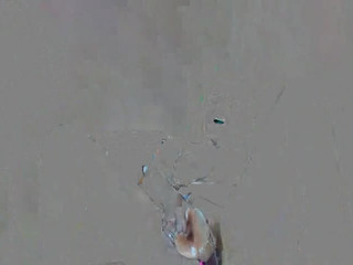 AnnyBerryX record 7.10.2019