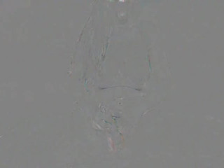 AwesomeKate clear slut is hot pounded in pussy