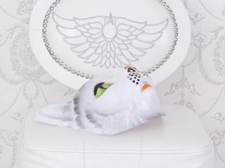 Nancy stunning babe fucks her ass hard