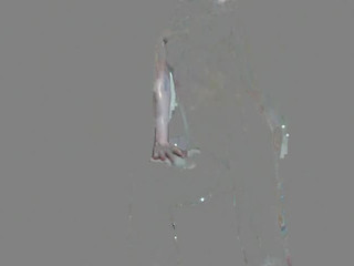 KittyNeko luscious blonde masturbating cunt