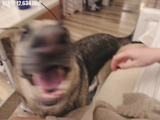 emersoncane ticket show 1.10.2019