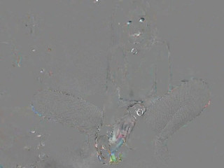 Ashe_Maree naughty blonde sucks penis and gets fucked