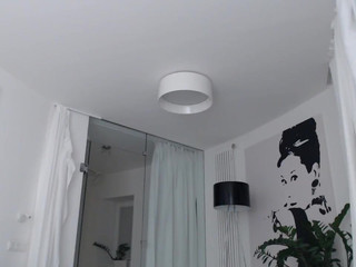 li_chang lady performs a gorgeous striptease