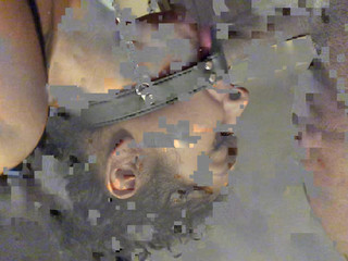 daddy slave the luxury model is swaggering with two toys.