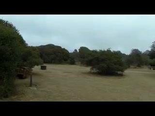 biancaandhubby manyvids hot prostitute poses in shorts